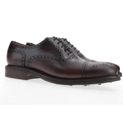 Berwick 1707 Oxford>3182-K1 Cromex Niger