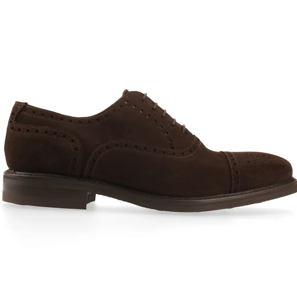 Berwick 1707 Oxford>3182-K2 Superbuck 173