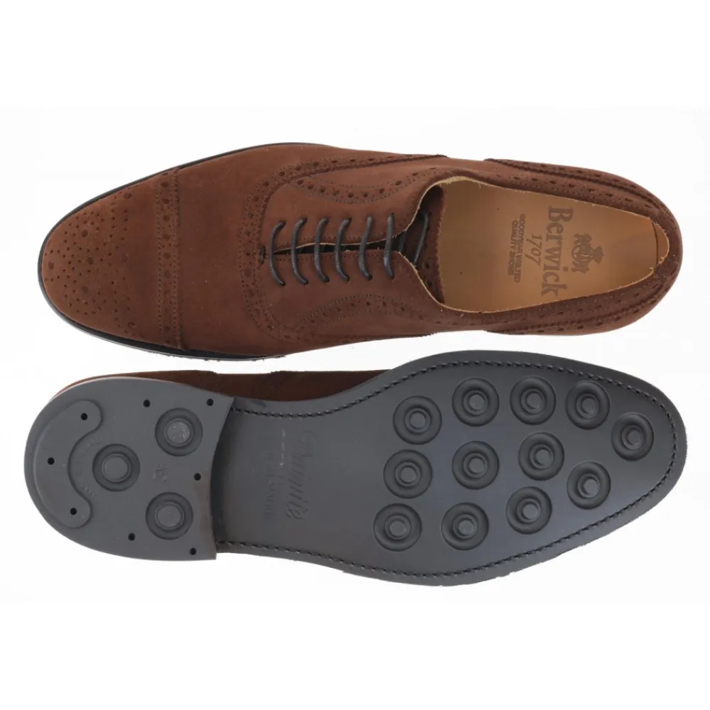 Berwick 1707 Oxford>5454-T03 Superbuck Snuff